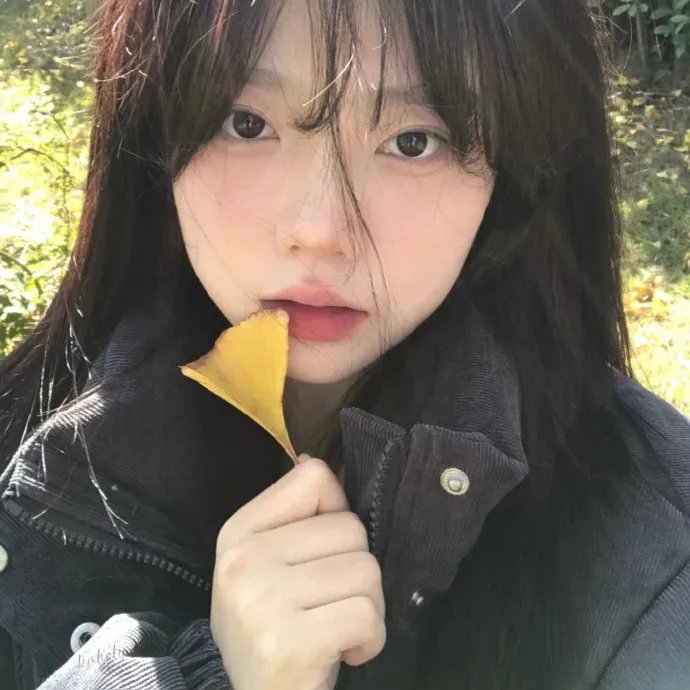 亦舞之城